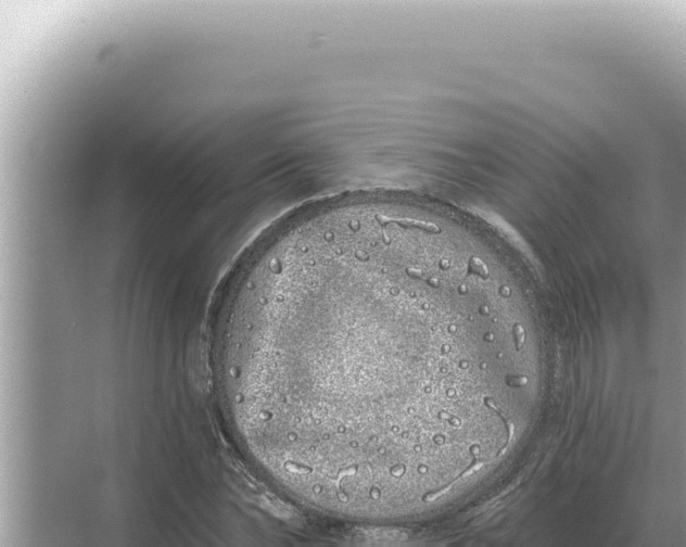 X0000068270878200605051812