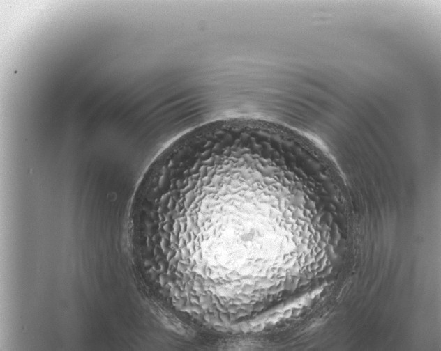 X0000068270879200605051812