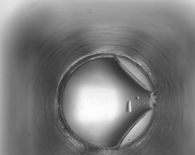 X0000068270880200605051812