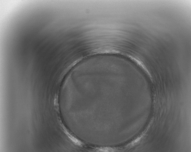 X0000068270881200605051812