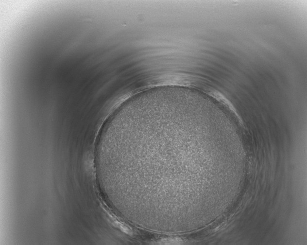 X0000068270882200605051812