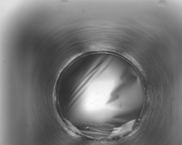 X0000068270885200605051812