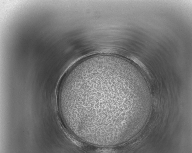 X0000068270886200605051812