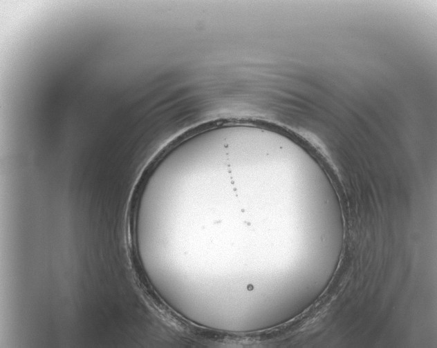 X0000068270887200605051812