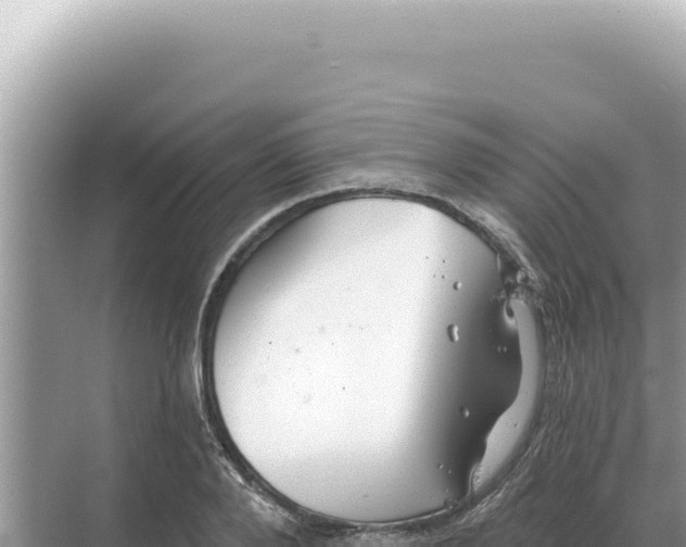 X0000068270888200605051812