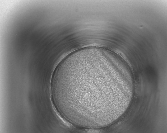 X0000068270890200605051812