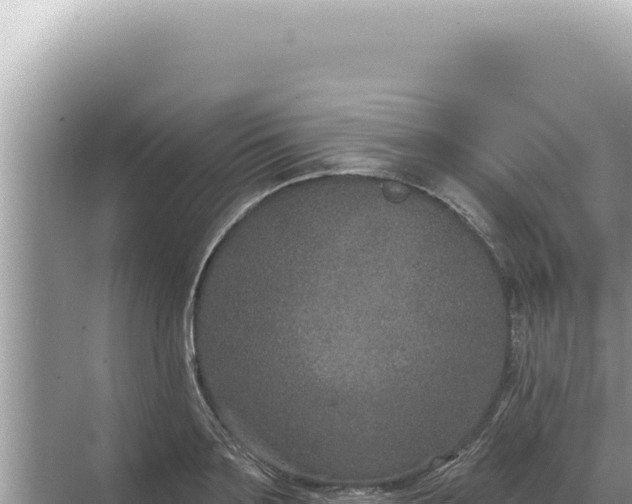 X0000068270891200605051812