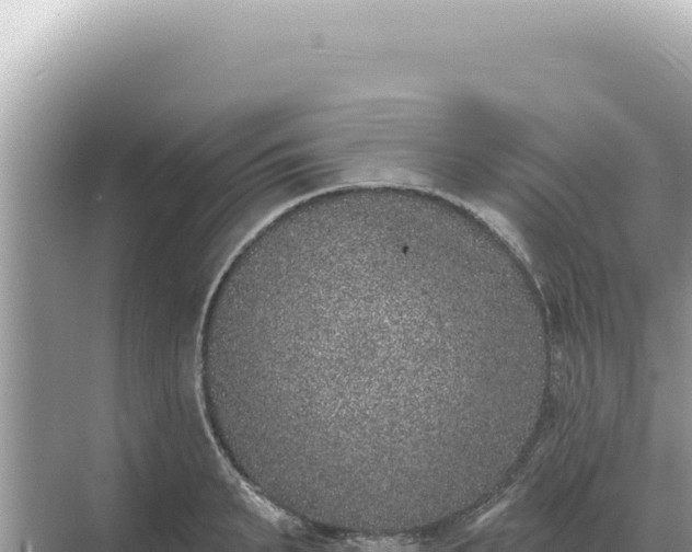 X0000068270895200605051812