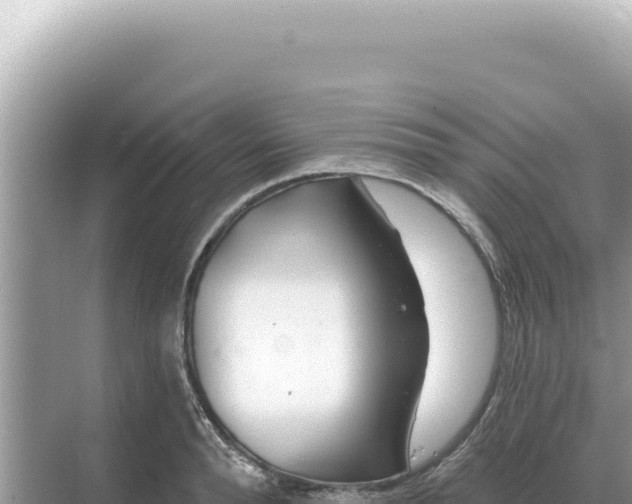 X0000068270896200605051812