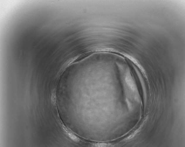 X0000068270897200605051812