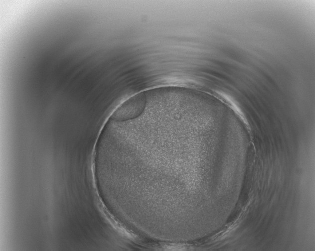 X0000068270899200605051812