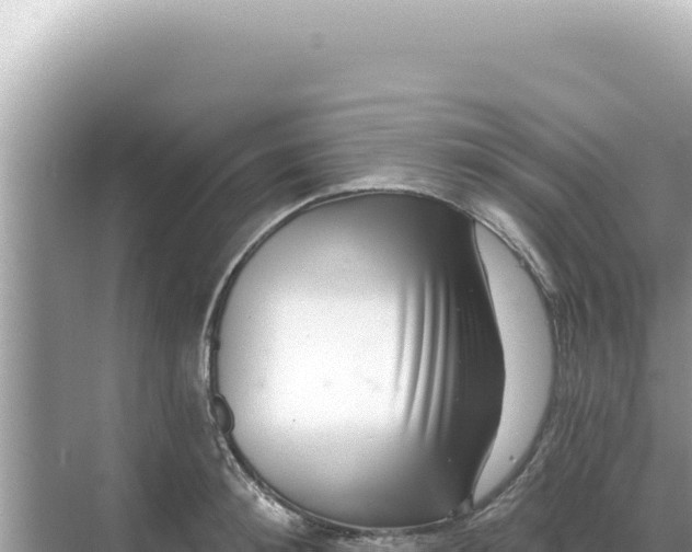 X0000068270900200605051812