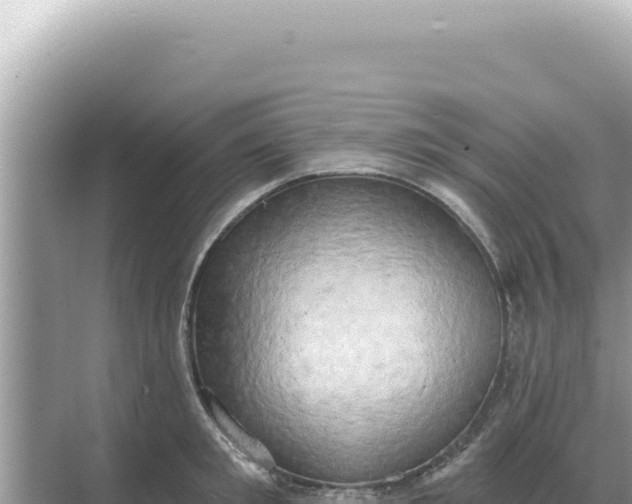 X0000068270901200605051812