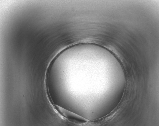 X0000068270902200605051812