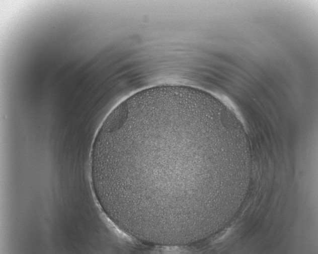 X0000068270903200605051812