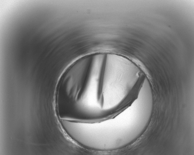 X0000068270904200605051812