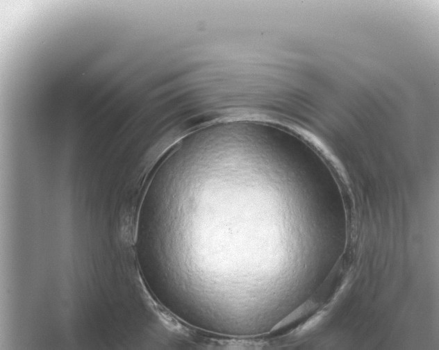 X0000068270905200605051812