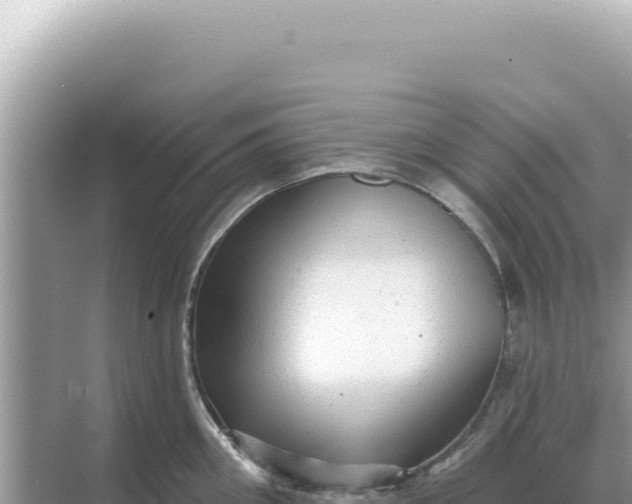 X0000068270906200605051812