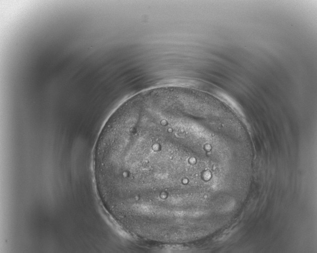 X0000068270907200605051812