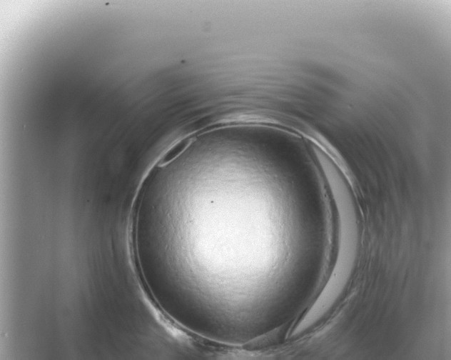 X0000068270909200605051812