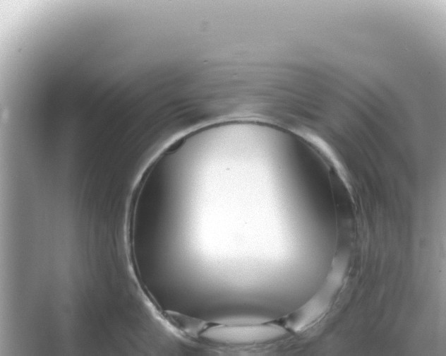 X0000068270910200605051812