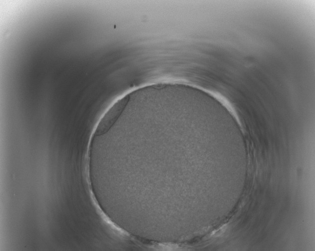 X0000068270911200605051812