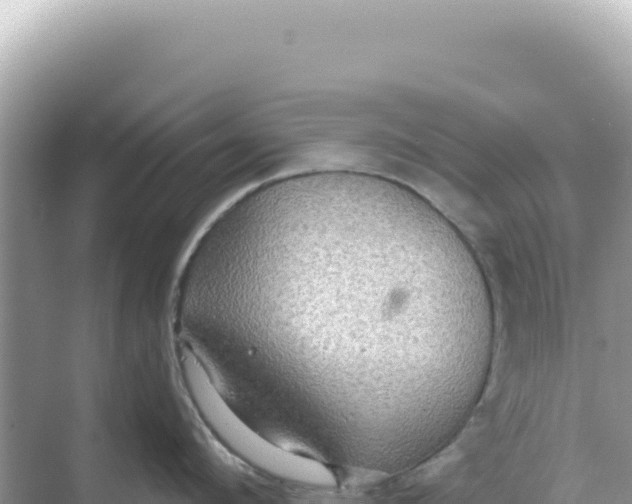 X0000068270912200605051812