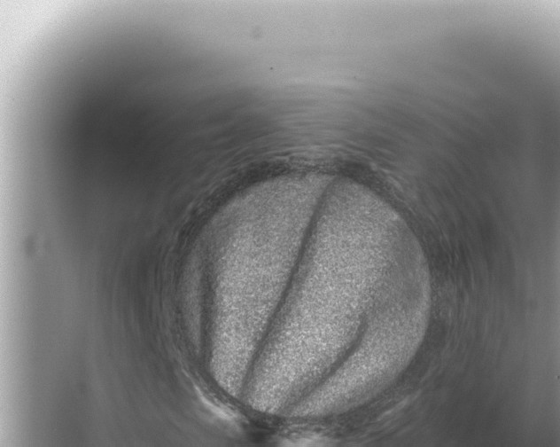 X0000068270913200605051811