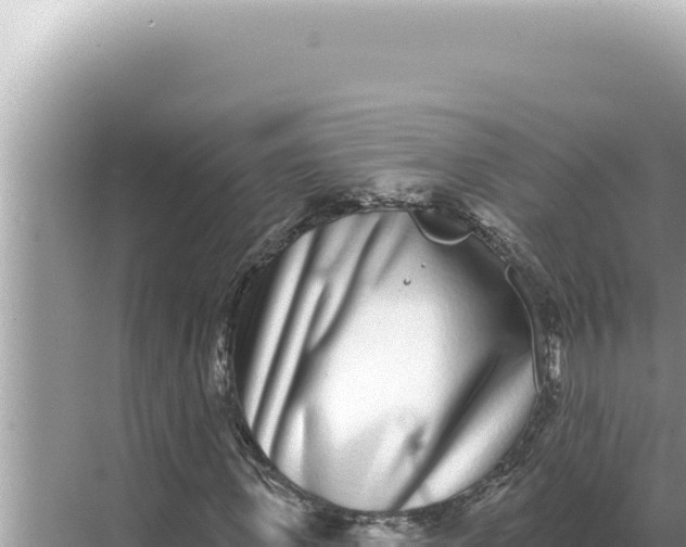 X0000068270915200605051811