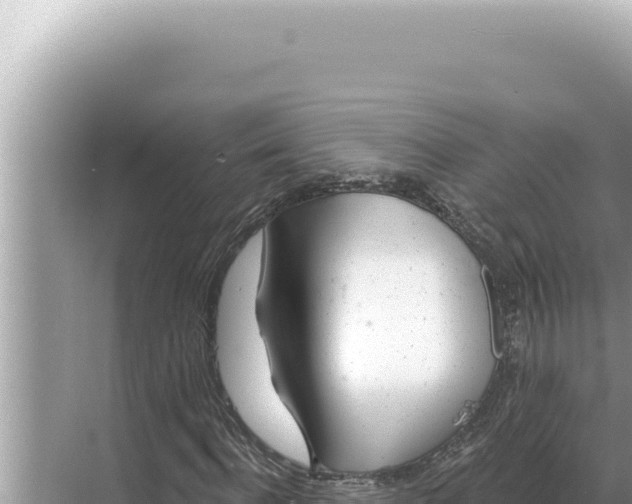 X0000068270916200605051811