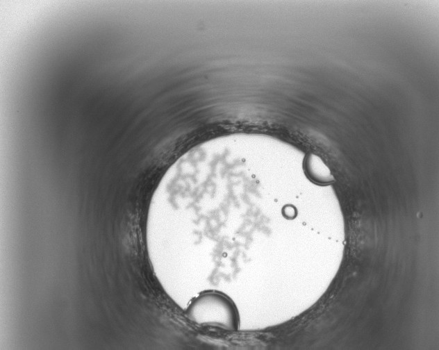 X0000068270918200605051811