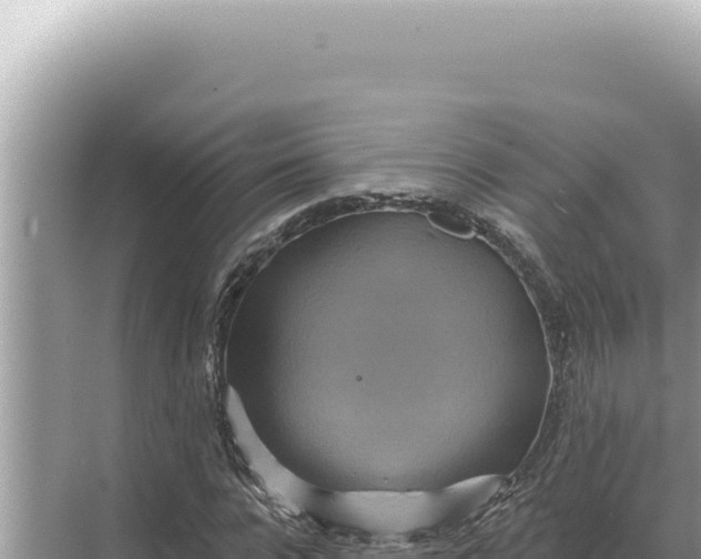 X0000068270920200605051811