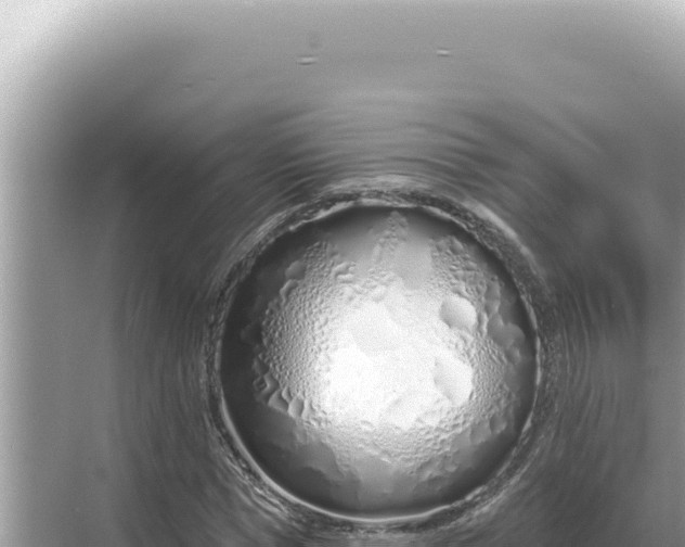 X0000068270921200605051811