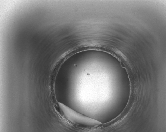 X0000068270922200605051811