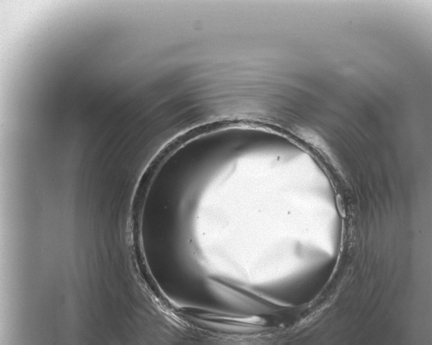 X0000068270924200605051811