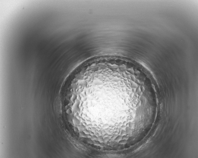 X0000068270925200605051811