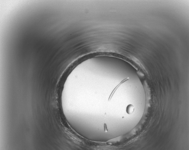 X0000068270926200605051811