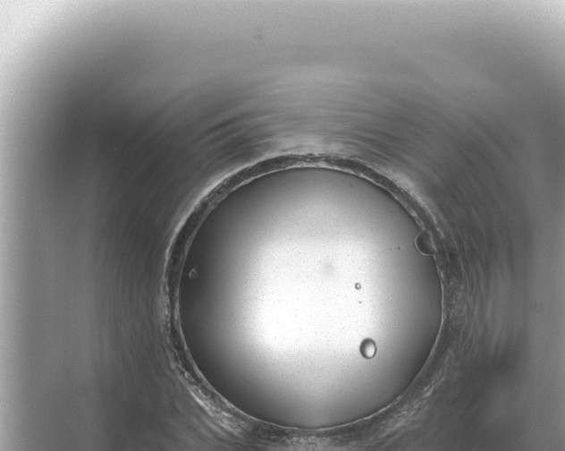 X0000068270927200605051811