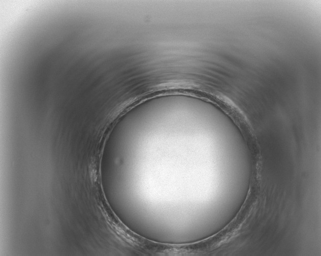 X0000068270929200605051811