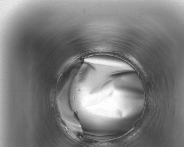 X0000068270930200605051811