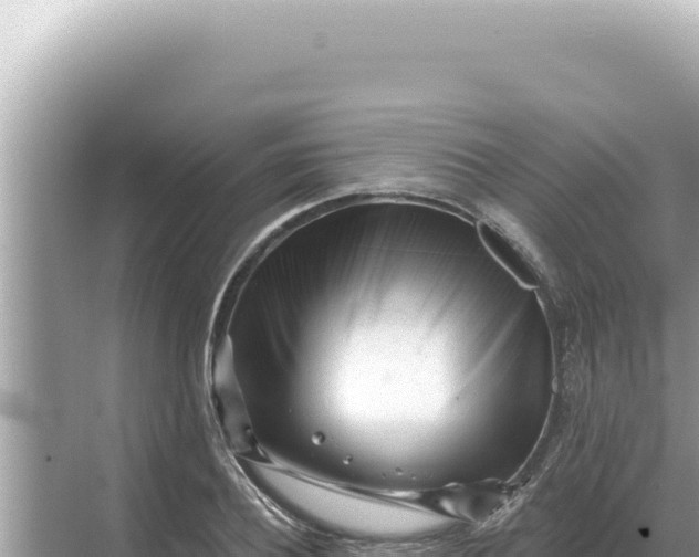 X0000068270932200605051811