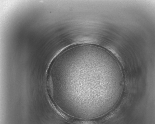 X0000068270933200605051811