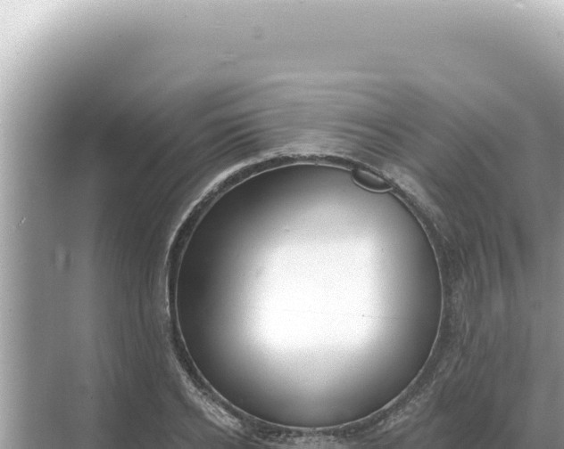 X0000068270934200605051811