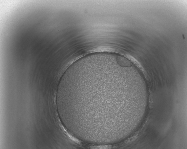 X0000068270937200605051811