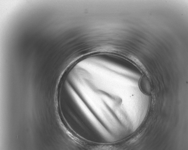 X0000068270939200605051811