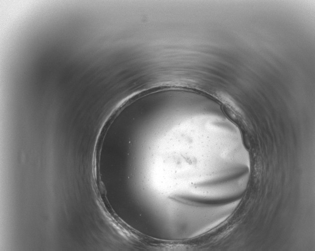 X0000068270940200605051811