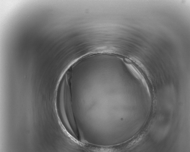 X0000068270941200605051811