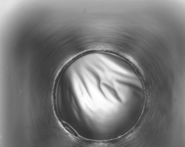 X0000068270943200605051811