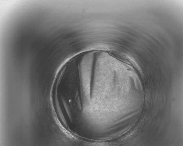 X0000068270944200605051811