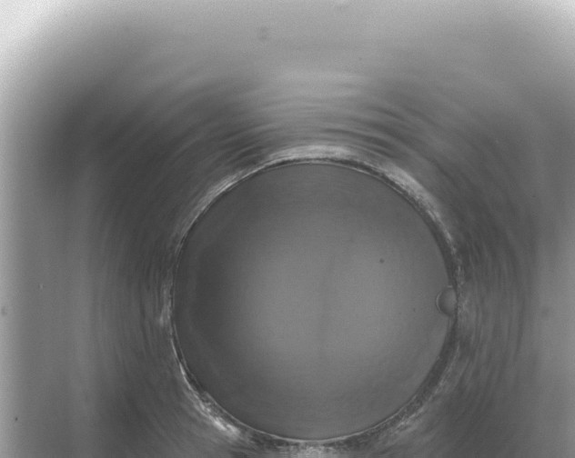 X0000068270945200605051811